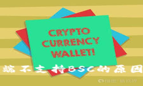 TP钱包电脑端不支持BSC的原因及解决方案