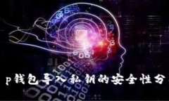 t p钱包导入私钥的安全性分析