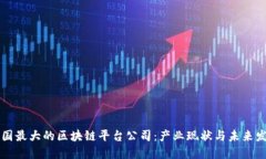 韩国最大的区块链平台公司：产业现状与未来发