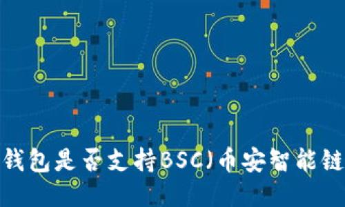 TP钱包是否支持BSC（币安智能链）?