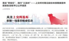 TP能否存储FIL？全面解析与使用指南